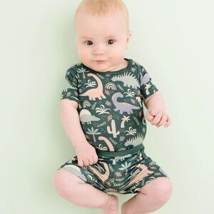 Green and Pink Dinosaur Pajama Set with Playful Design